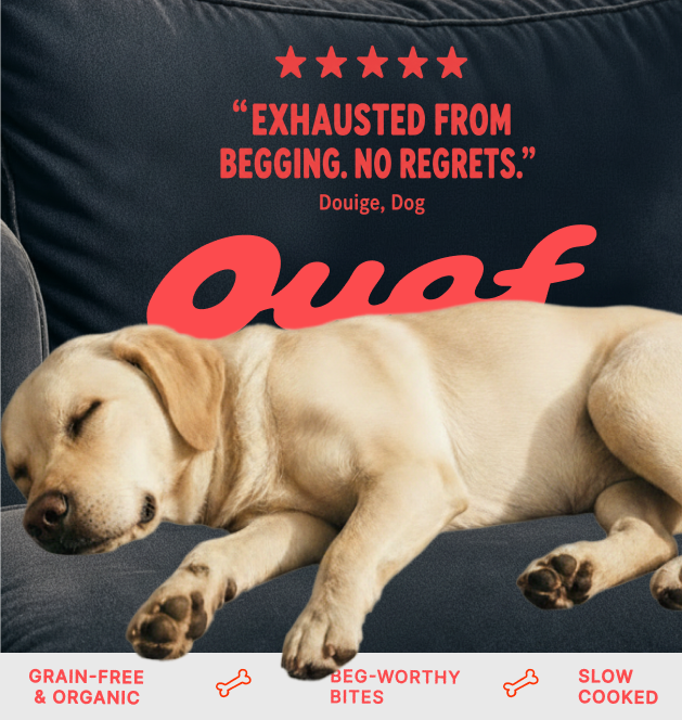 Exhausted from begging campaign ad