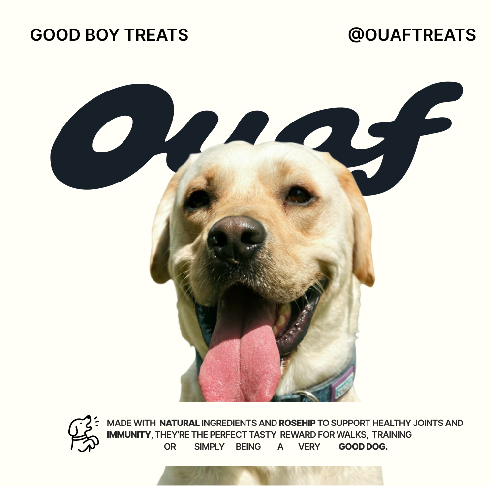 Good Boy Treats @ouaftreats social ad