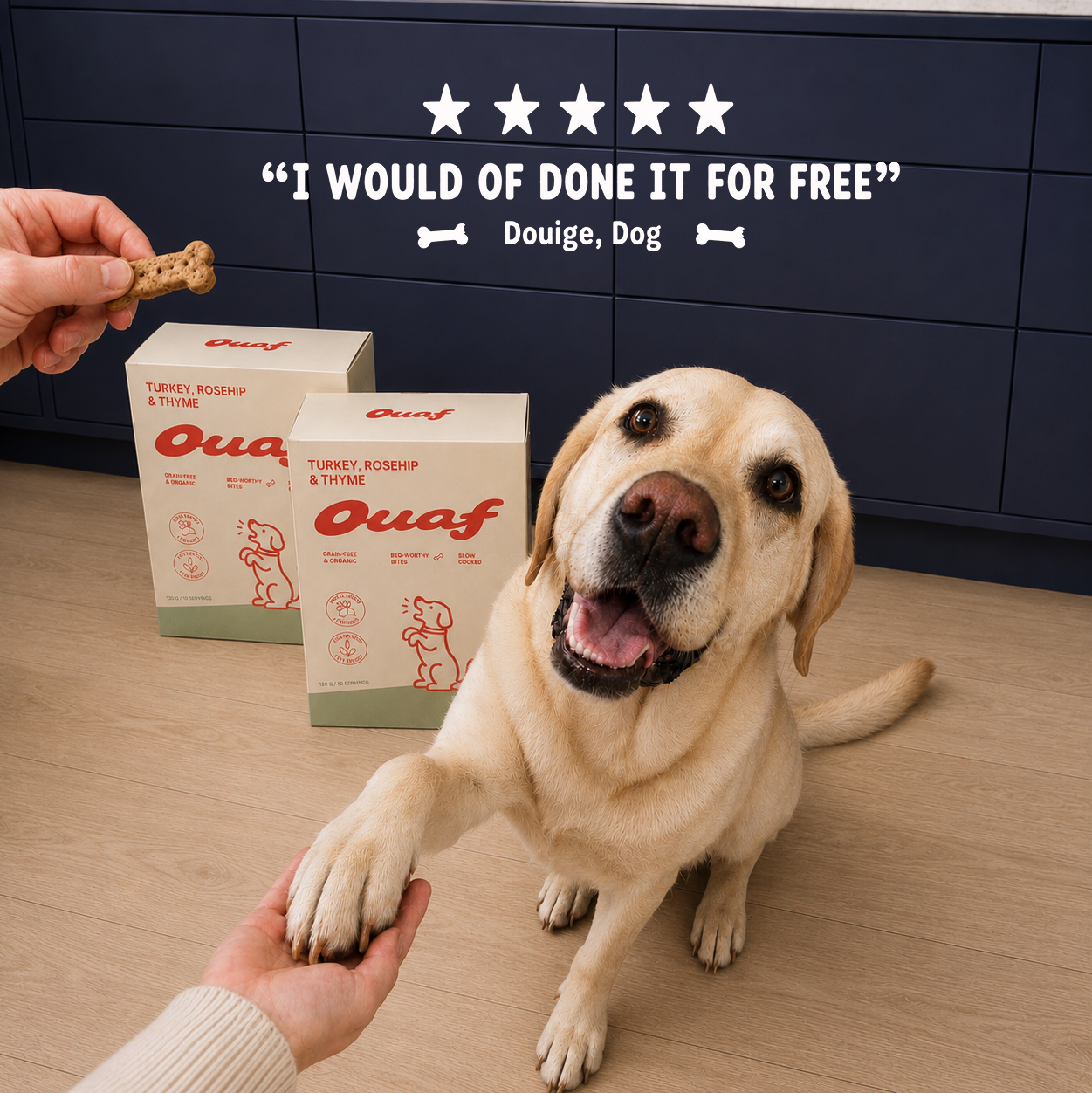 Labrador with Ouaf treat boxes — five star quote
